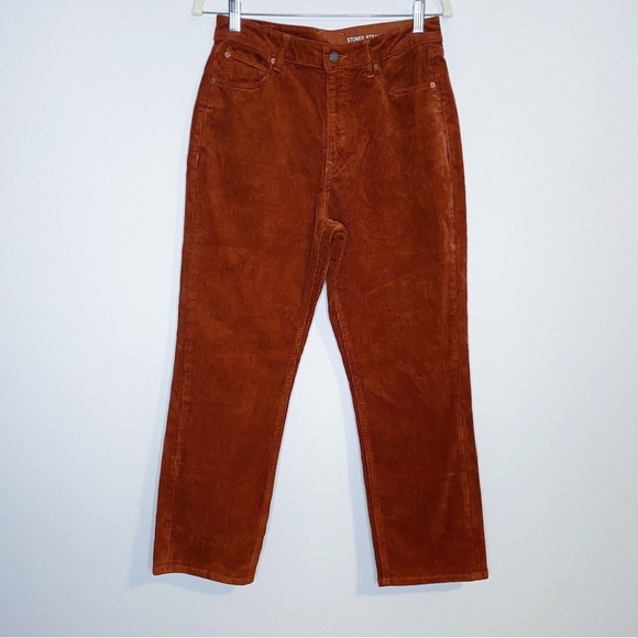 Volcom - Dark Clay Corduroy Pants - Picture 4 of 9